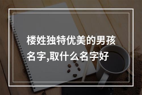 楼姓独特优美的男孩名字,取什么名字好