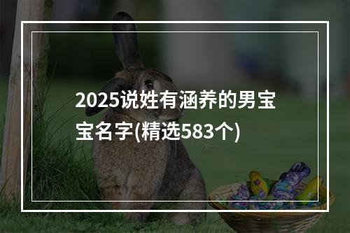 2025说姓有涵养的男宝宝名字(精选583个)