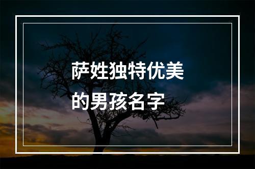 萨姓独特优美的男孩名字