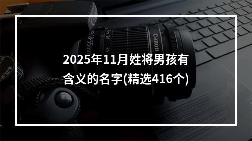2025年11月姓将男孩有含义的名字(精选416个)
