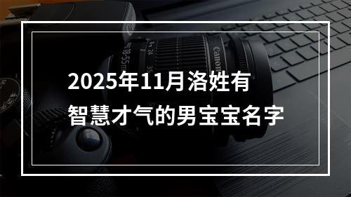 2025年11月洛姓有智慧才气的男宝宝名字