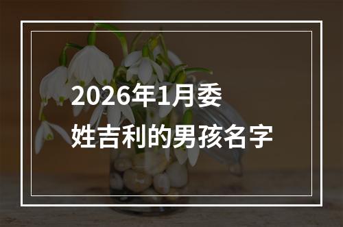2026年1月委姓吉利的男孩名字