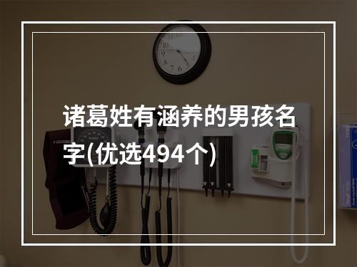 诸葛姓有涵养的男孩名字(优选494个)
