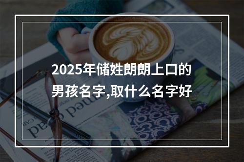 2025年储姓朗朗上口的男孩名字,取什么名字好
