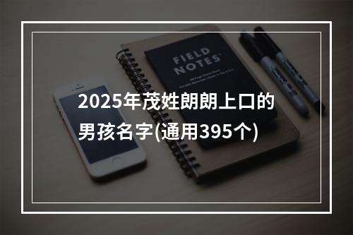 2025年茂姓朗朗上口的男孩名字(通用395个)