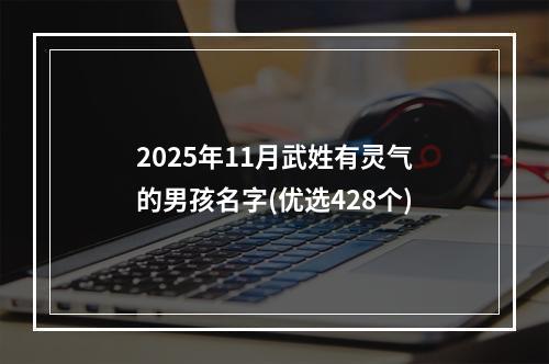2025年11月武姓有灵气的男孩名字(优选428个)