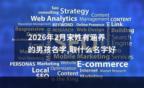 2026年2月宋姓有涵养的男孩名字,取什么名字好
