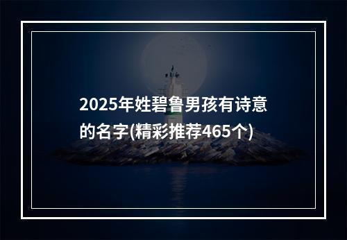 2025年姓碧鲁男孩有诗意的名字(精彩推荐465个)