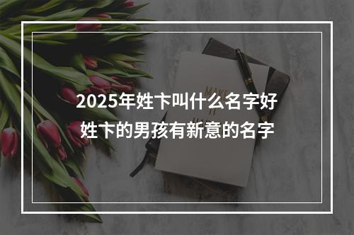 2025年姓卞叫什么名字好 姓卞的男孩有新意的名字