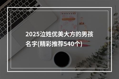 2025泣姓优美大方的男孩名字(精彩推荐540个)