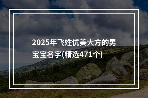 2025年飞姓优美大方的男宝宝名字(精选471个)