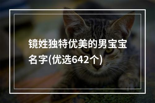 镜姓独特优美的男宝宝名字(优选642个)