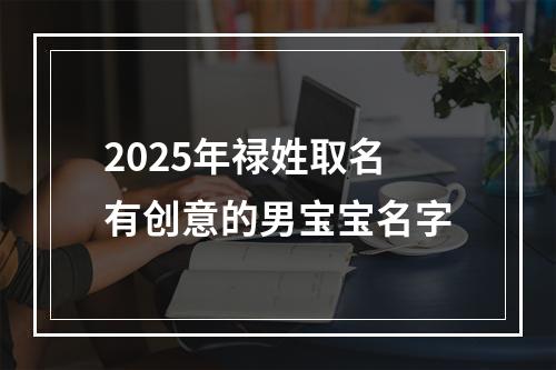 2025年禄姓取名有创意的男宝宝名字