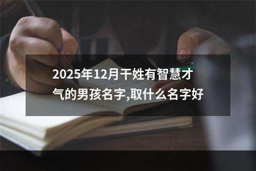 2025年12月干姓有智慧才气的男孩名字,取什么名字好
