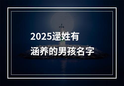 2025逯姓有涵养的男孩名字