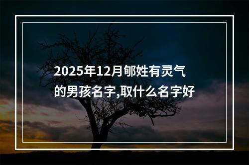2025年12月郇姓有灵气的男孩名字,取什么名字好