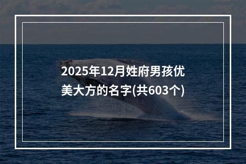 2025年12月姓府男孩优美大方的名字(共603个)