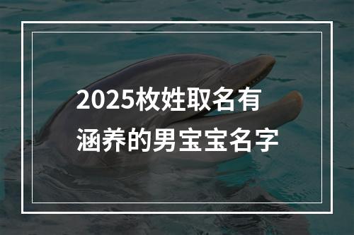2025枚姓取名有涵养的男宝宝名字