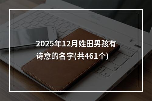 2025年12月姓田男孩有诗意的名字(共461个)