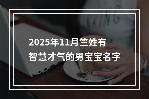 2025年11月竺姓有智慧才气的男宝宝名字