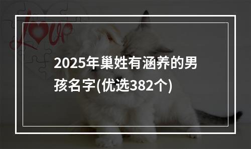 2025年巢姓有涵养的男孩名字(优选382个)