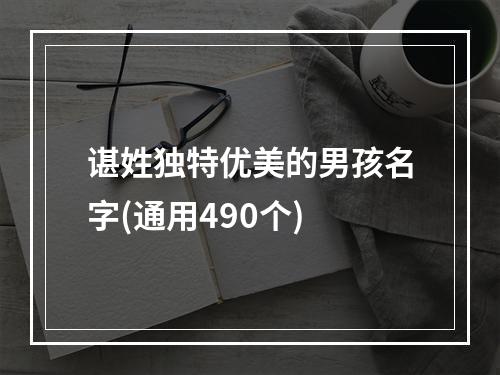 谌姓独特优美的男孩名字(通用490个)