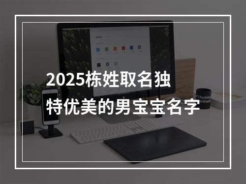 2025栋姓取名独特优美的男宝宝名字
