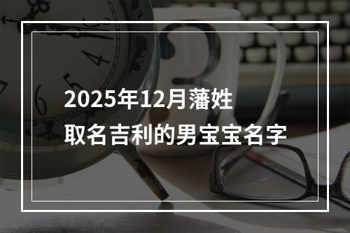 2025年12月藩姓取名吉利的男宝宝名字
