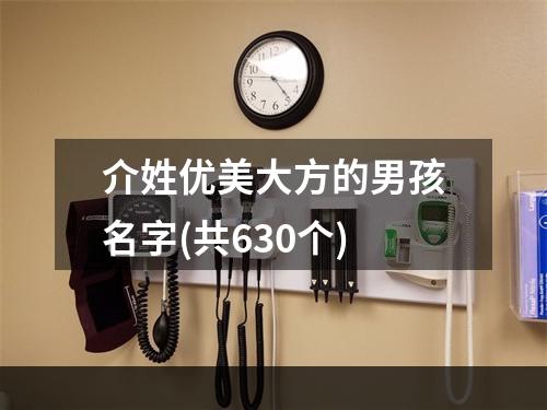 介姓优美大方的男孩名字(共630个)