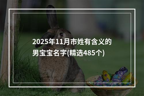 2025年11月市姓有含义的男宝宝名字(精选485个)