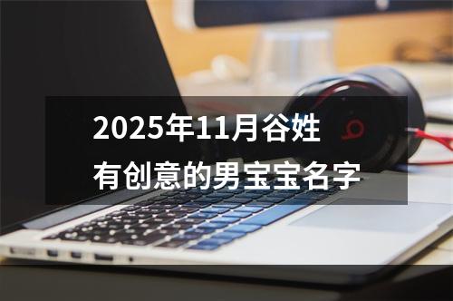 2025年11月谷姓有创意的男宝宝名字