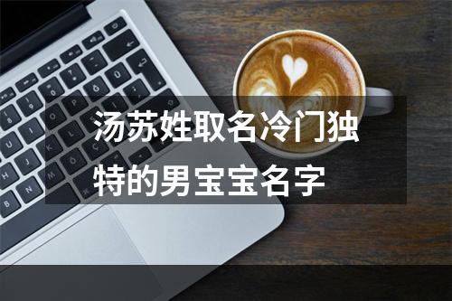 汤苏姓取名冷门独特的男宝宝名字