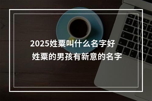 2025姓粟叫什么名字好 姓粟的男孩有新意的名字
