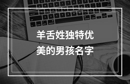 羊舌姓独特优美的男孩名字