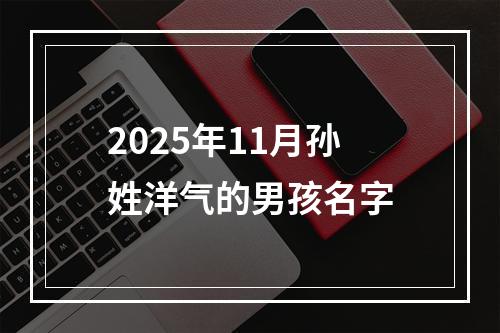2025年11月孙姓洋气的男孩名字