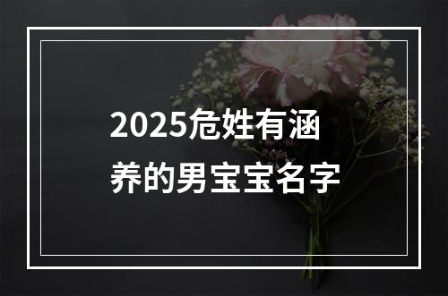 2025危姓有涵养的男宝宝名字