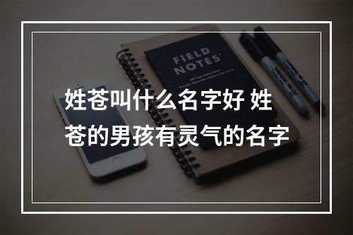 姓苍叫什么名字好 姓苍的男孩有灵气的名字