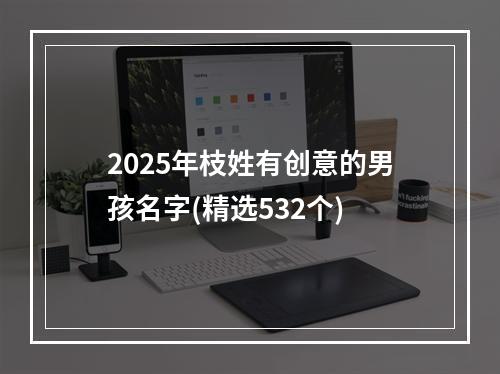 2025年枝姓有创意的男孩名字(精选532个)