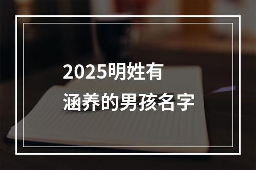 2025明姓有涵养的男孩名字
