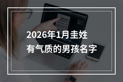 2026年1月圭姓有气质的男孩名字