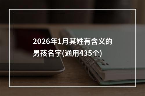 2026年1月其姓有含义的男孩名字(通用435个)