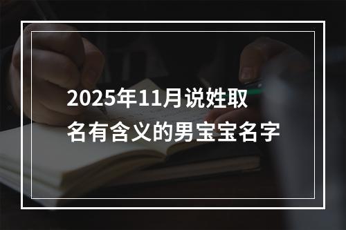 2025年11月说姓取名有含义的男宝宝名字