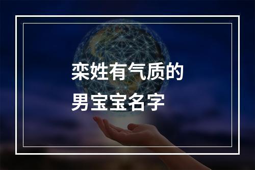 栾姓有气质的男宝宝名字
