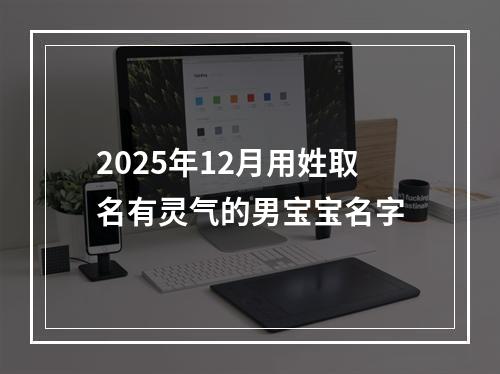 2025年12月用姓取名有灵气的男宝宝名字