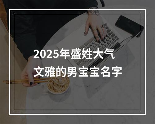 2025年盛姓大气文雅的男宝宝名字