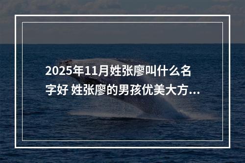 2025年11月姓张廖叫什么名字好 姓张廖的男孩优美大方的名字