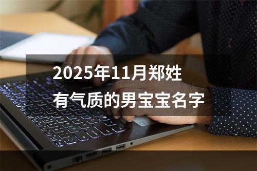 2025年11月郑姓有气质的男宝宝名字
