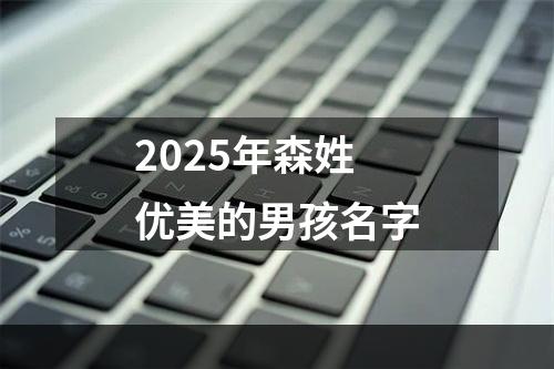 2025年森姓优美的男孩名字