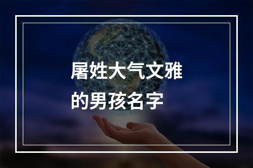 屠姓大气文雅的男孩名字