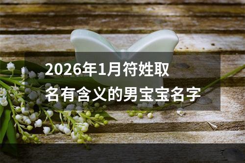 2026年1月符姓取名有含义的男宝宝名字